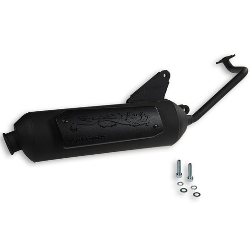 [3217501] Escape Honda NSC50R 50 / Vision 50 ie 4T Malossi Wild Lion