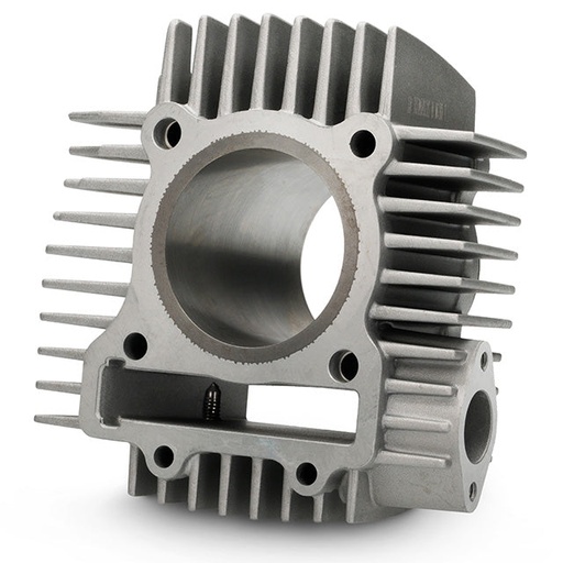 [100061501-0001] Cilindro Pitbike motor 190 Zongshen