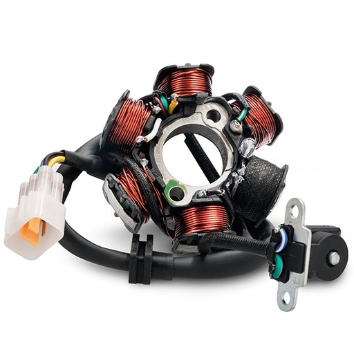 [100084477-0001] Stator encendido Pitbike motor 190 Zongshen