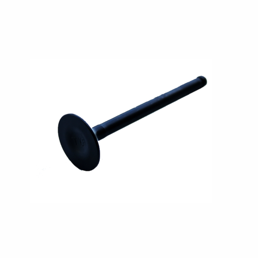 [206F045] Válvula de admisión YX 125 Ø24mm Pitbike YCF