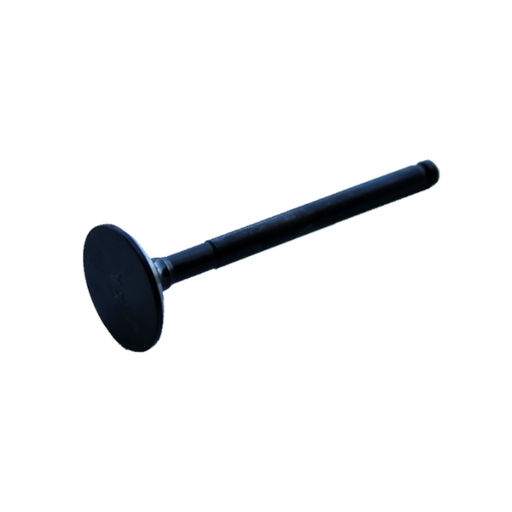 [210F039] Válvula de escape YX KLX 150 23x71.6x5.5mm Pitbike YCF
